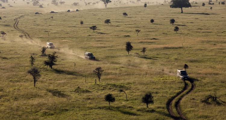 14 jours de randonnée dans le Serengeti, le Masai Mara et les gorilles - Rumara Safaris 1