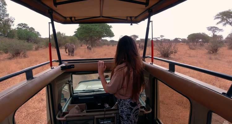 14 jours de randonnée dans le Serengeti, le Masai Mara et les gorilles - Rumara Safaris 4
