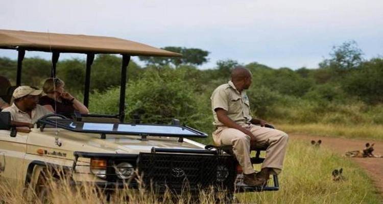 3-Day Safari Adventure in Madikwe Game Reserve - Knap Tours Limited 5