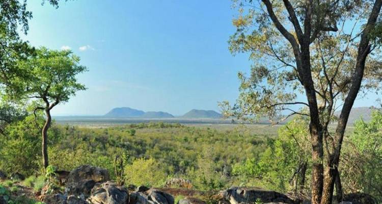 3-Day Safari Adventure in Madikwe Game Reserve - Knap Tours Limited 1