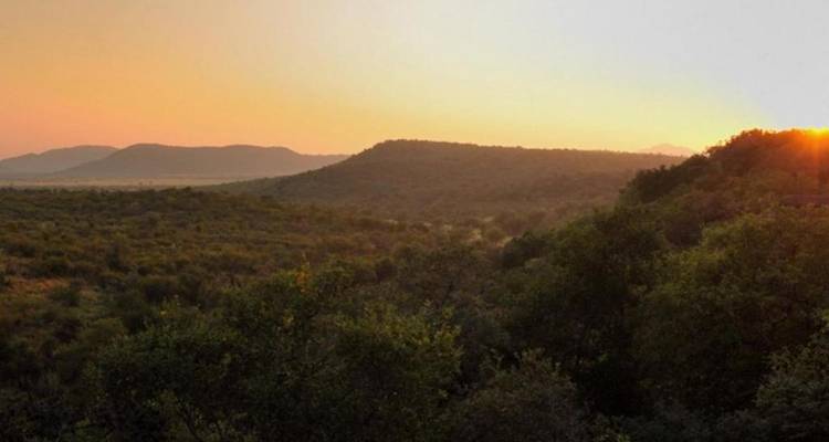 3-Day Safari Adventure in Madikwe Game Reserve - Knap Tours Limited 2