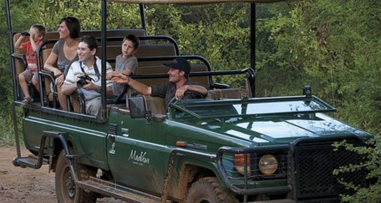 3-Day Safari Adventure in Madikwe Game Reserve - Knap Tours Limited 8