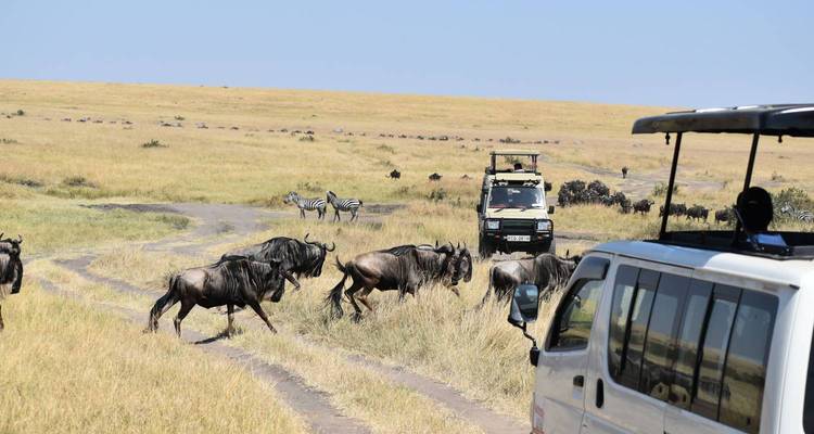 10 jours de safari au Masai Mara et au Serengeti - Rumara Safaris 5