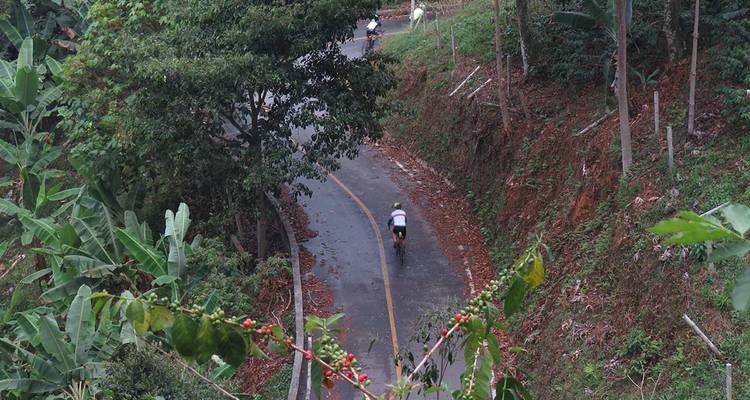 Cyclisme sur route en Colombie : De Cali au paradis du café - SpiceRoads Cycling 2