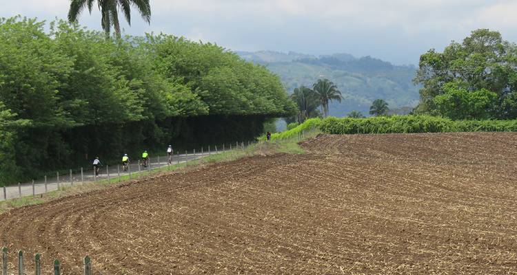 Cyclisme sur route en Colombie : De Cali au paradis du café - SpiceRoads Cycling 3