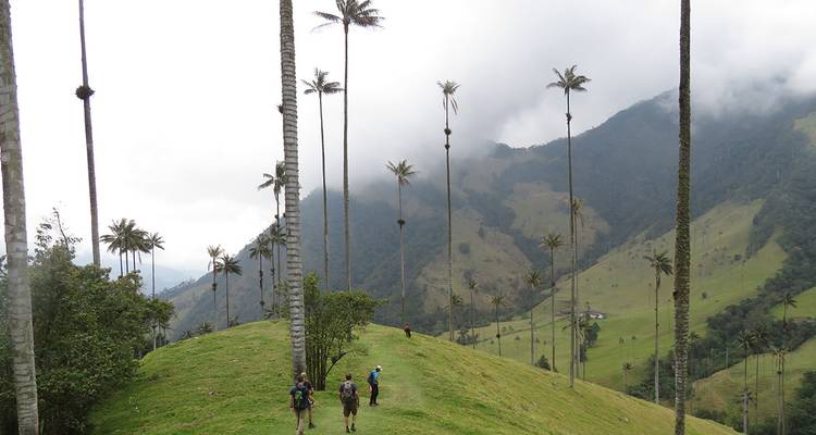 Cyclisme sur route en Colombie : De Cali au paradis du café - SpiceRoads Cycling 10