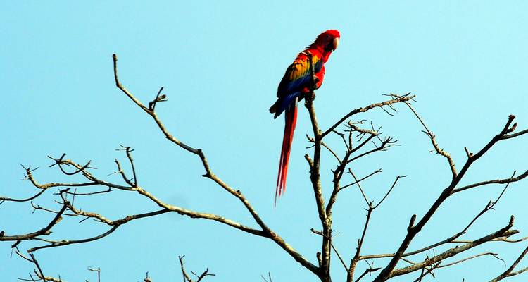 Visite de la faune et de la flore du Gujarat - Alkof Holidays 6