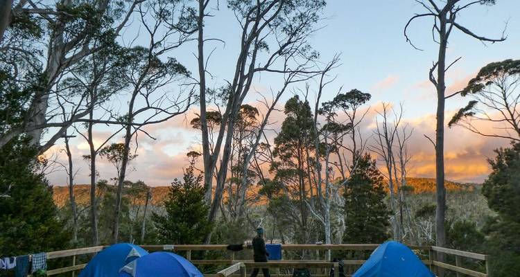 Trek the Cradle Mountain Overland Track (6 destinations) - Intrepid Travel 8