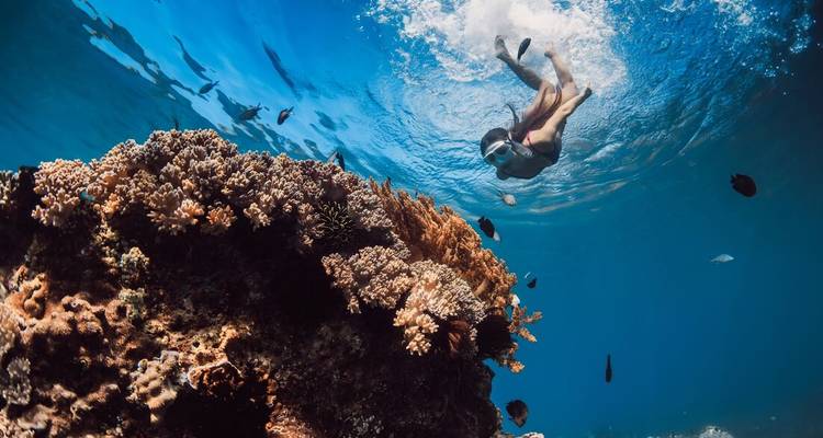Aventure de la côte ouest (vers le nord) - Intrepid Travel 6