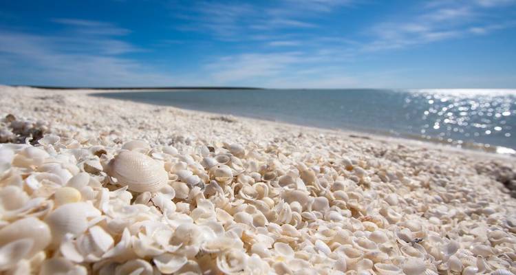 Aventure de la côte ouest (vers le sud) - Intrepid Travel 4