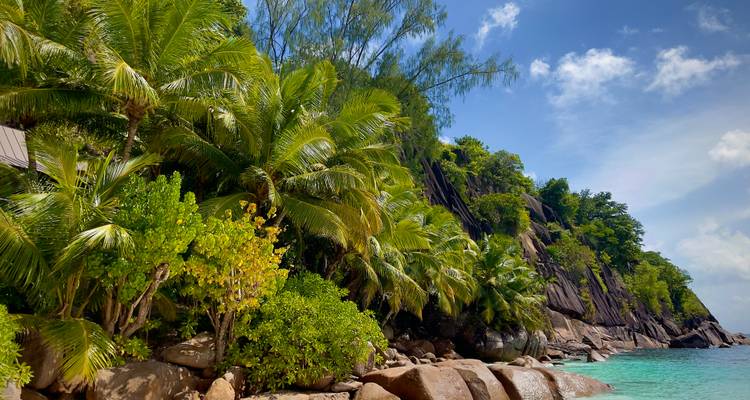 Safari et Seychelles 2027-2028 - Emerald Cruises 9