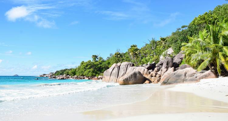 Safari et Seychelles 2027-2028 - Emerald Cruises 10