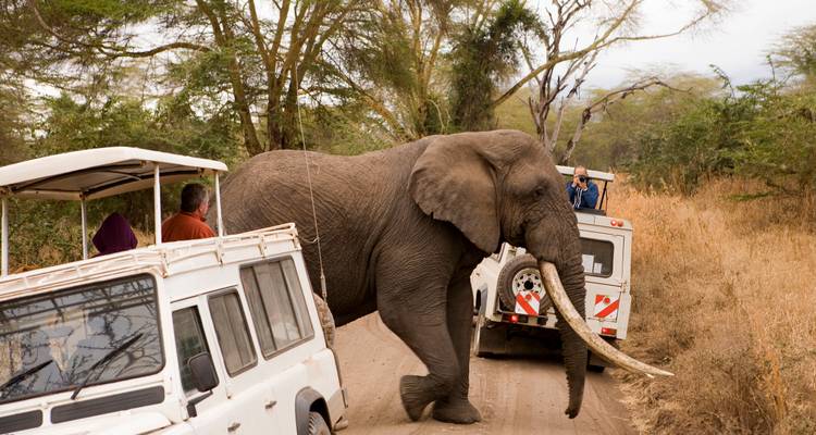 Safari et Seychelles 2028 - Emerald Cruises 4