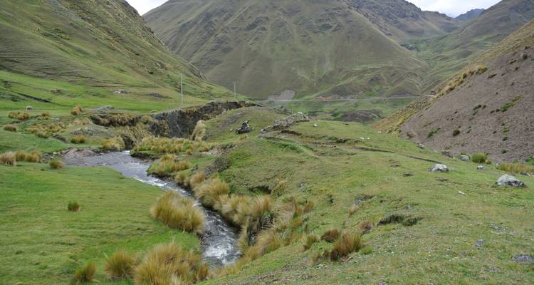 Cultural Experience in Patacancha - Terres des Incas 4