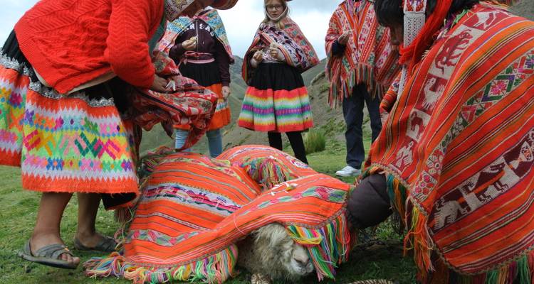 Cultural Experience in Patacancha - Terres des Incas 7