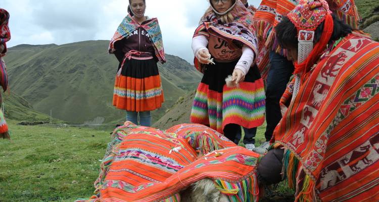 Cultural Experience in Patacancha - Terres des Incas 8