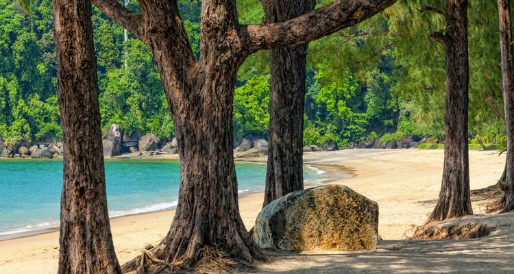 A secluded beach scene with trees and a large boulder.