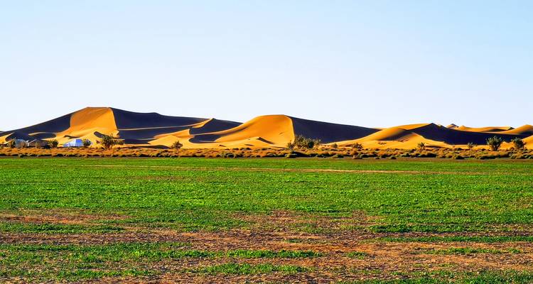 1 nuit en camp de désert à Erg Chegaga - SAHARA HOLIDAY 3