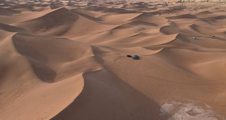Vastes dunes désertiques avec des traces de pneus, un seul véhicule visible.