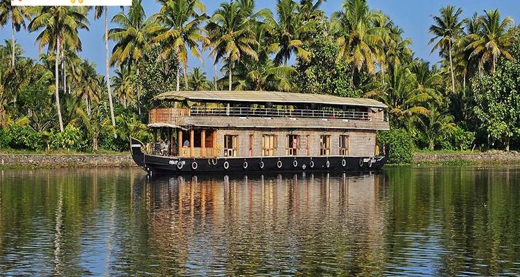 A large houseboat on a calm water body with palm trees.