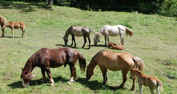 Ultimate Pyrenees Experience Self-Drive Off-Road – 8 Days - Medraft 6