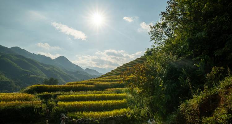 Premium Walking & Hiking in Vietnam (en anglais) - Intrepid Premium 3