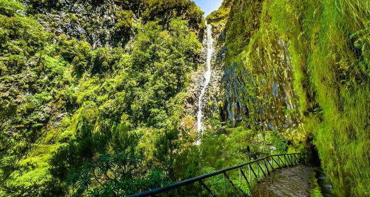 Premium Walking & Hiking in Madeira - Intrepid Premium 8