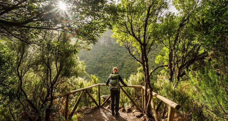 Une personne profitant d'un point de vue entourée d'une végétation luxuriante.