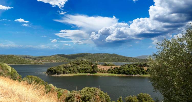 Une vue pittoresque d'une petite île dans un lac entourée d'un terrain vallonné.