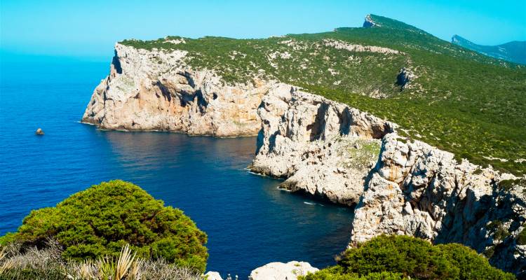 Des falaises rocheuses surplombant la mer bleue.