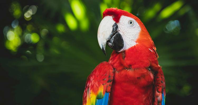 7-Day Luxury Amazon and Pantanal - ETours Brazil DMC 1