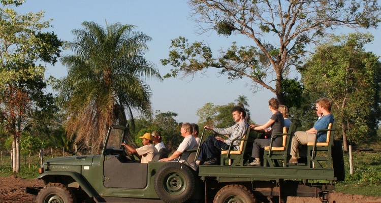 7-Day Luxury Amazon and Pantanal - ETours Brazil DMC 6