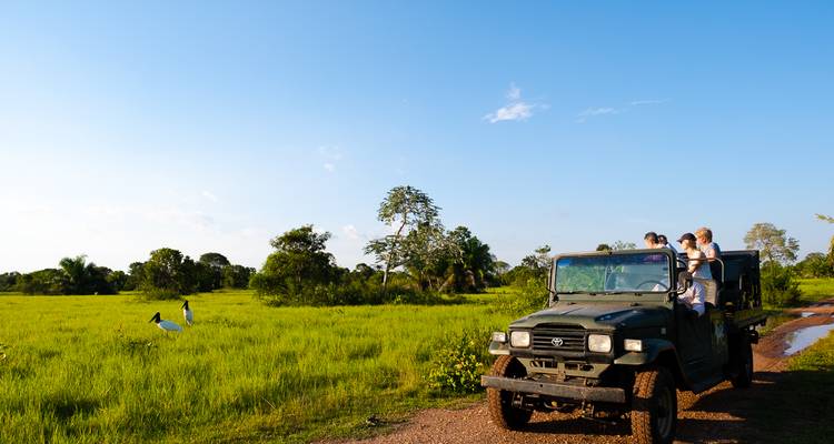 7-Day Luxury Amazon and Pantanal - ETours Brazil DMC 7