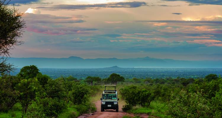 Safari-Fahrzeug auf einer staubigen Straße in einer weiten Landschaft mit Bergen.