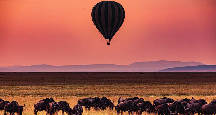 Heißluftballon über einer Herde von Gnus während des Sonnenaufgangs.
