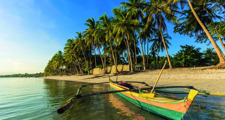 Traditionelles Boot auf einem sauberen Sandstrand gesäumt von Palmen.