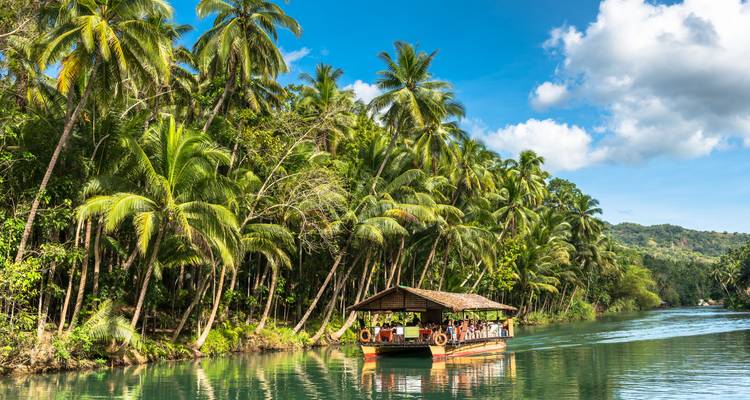 Cruceros en lancha abierta a través de frondosas palmeras en un río esmeralda tranquilo.