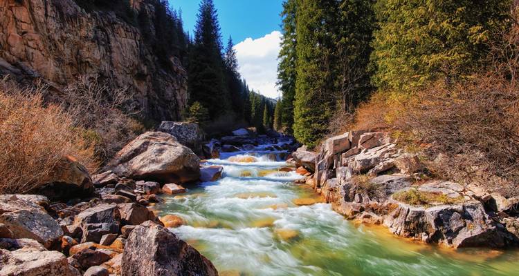Kristallklarer Bergfluss stürzt durch eine felsige, von Kiefern gesäumte Schlucht unter blauem Himmel in Kirgisistan.