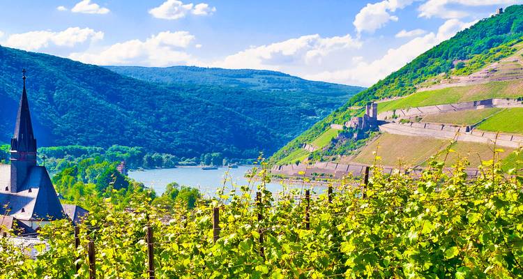 Vue panoramique d'une rivière bordée de collines escarpées et de vignobles.