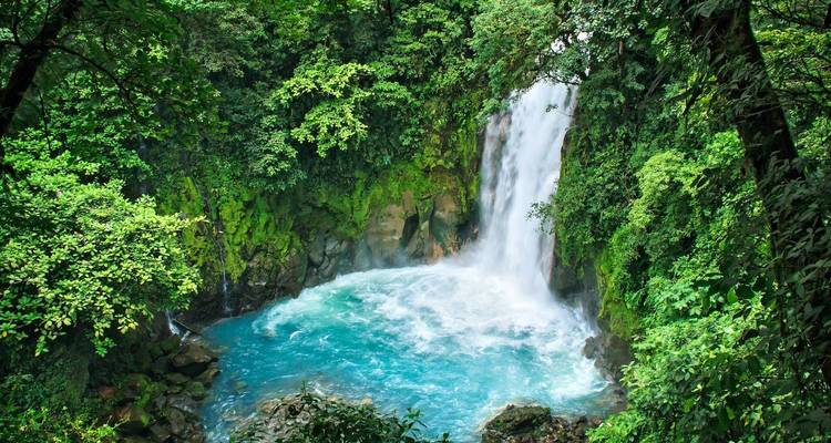 Private 7 Days Costa Rica Rainforest Vacation Tour, Daily Start & Exclusive Guide - Agate Travel 6