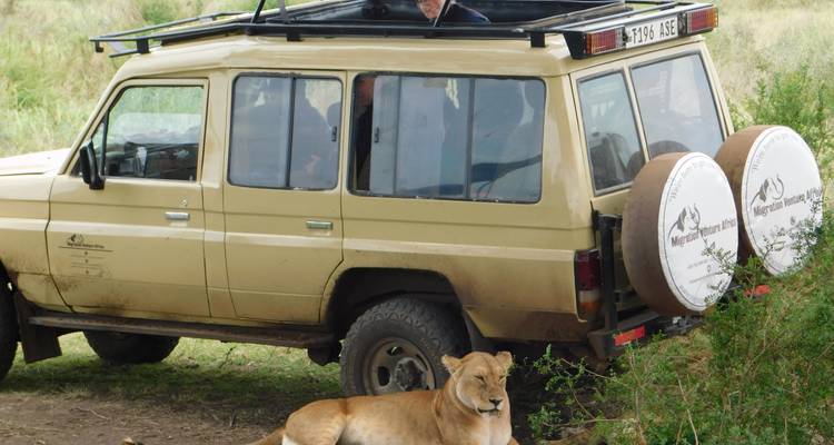 1 Day Mikumi National Wildife Safari by Sgr-Train - Migration Venture Africa  2