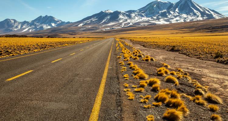 Une route droite à travers un paysage d'herbe jaune avec des montagnes enneigées.