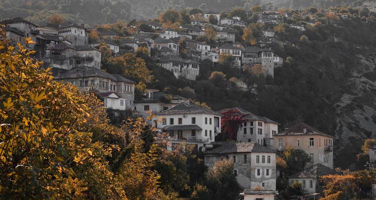 Traditional houses on a hill with autumn foliage.