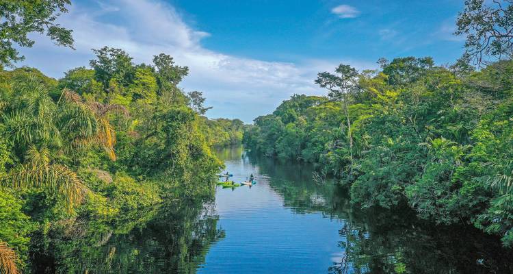 Des gens faisant du kayak sur une rivière calme entourée d'une jungle dense.