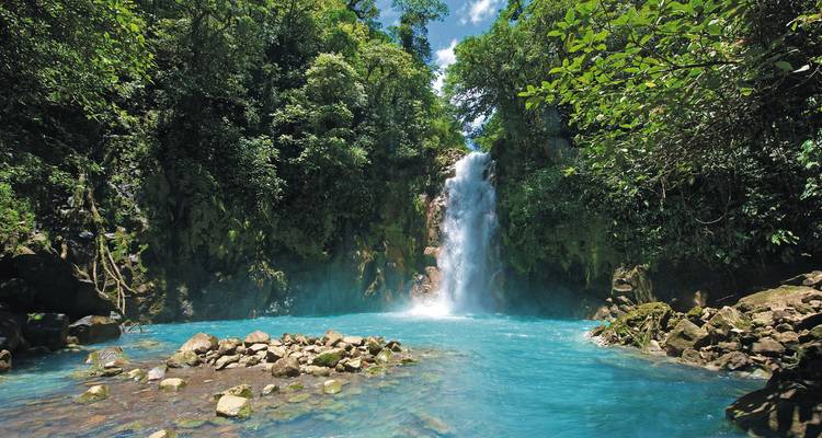 Waterfall into a turquoise pool surrounded by forest.