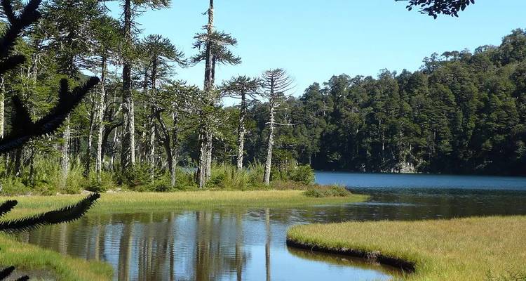 Araucanía Chile, the heart of Mapuche culture: history, legends, music, art, language. - Signature DMC 2
