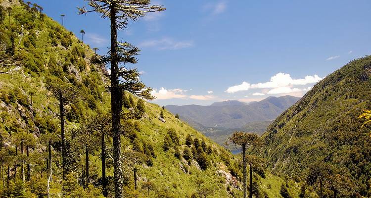 Araucanía Chile, the heart of Mapuche culture: history, legends, music, art, language. - Signature DMC 4