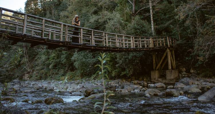 Araucanía Chile, the heart of Mapuche culture: history, legends, music, art, language. - Signature DMC 8