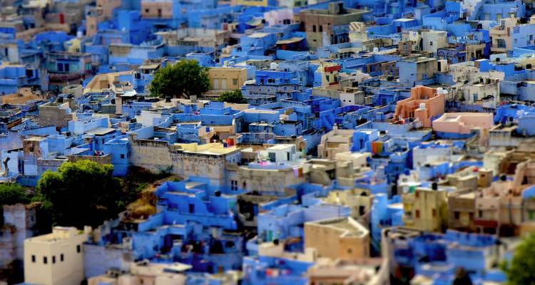 Whispers of Rajasthan (15 Days / 14 Nights) - Go City Adventures 5