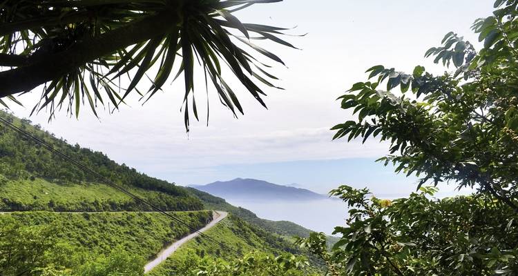 A road surrounded by lush greenery with mountains in the background.